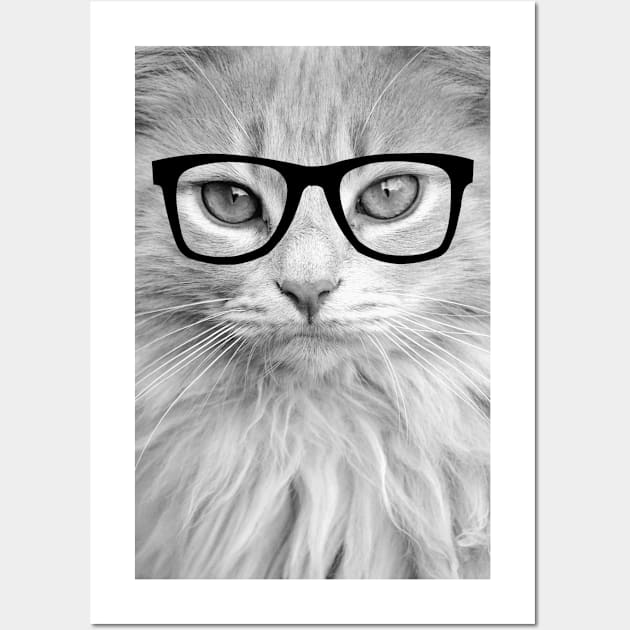 Hippest Cat Wall Art by allysonjohnson